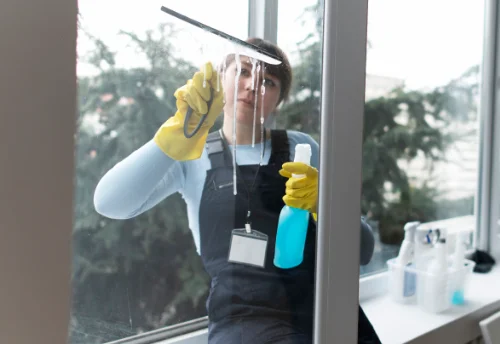 Nettoyage de vitres intérieures et extérieures à Meyronne